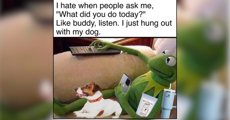 35 Weekend Dog Memes for a Pawfectly Relaxing Scroll