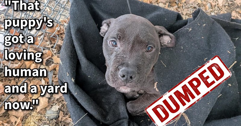 Starving tiny puppy covered filth saved by traveller his dog, but with no way keep pup needed miracle find it home, lucky one came their way: ‘Then about 20 minutes later... He returned—six hours early—taking the puppy.’ | thumbnail includes one image which shows a dark brown puppy wrapped in a black blanket on the leafy floor ‘“That puppy’s got a loving human and a yard now.”’ ‘DUMPED’