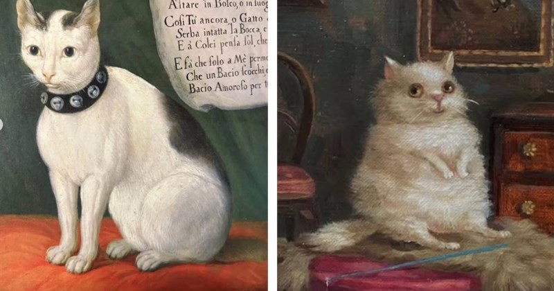 medieval cat medieval weird cats medieval memes cat painting medieval painting funny cats painting animal memes animals Cats - 46407941