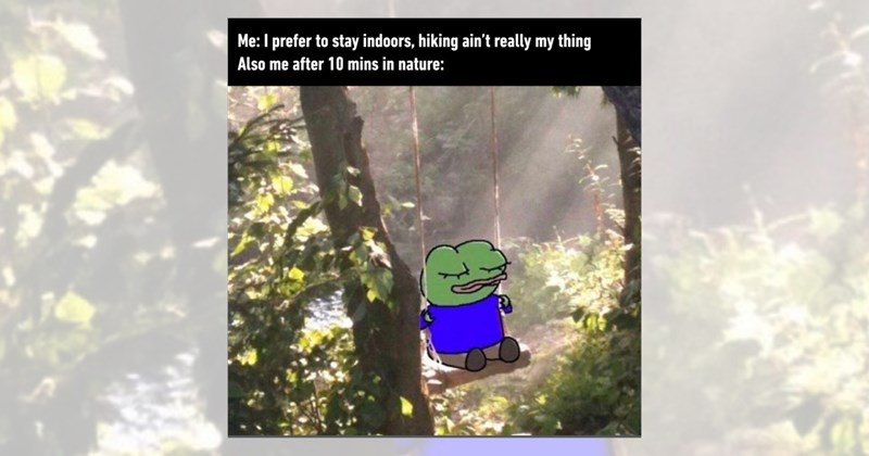 nature Hiking hiking memes relatable memes trail friends funny memes excercise sun mountains fresh air Funny Memes - 46418181