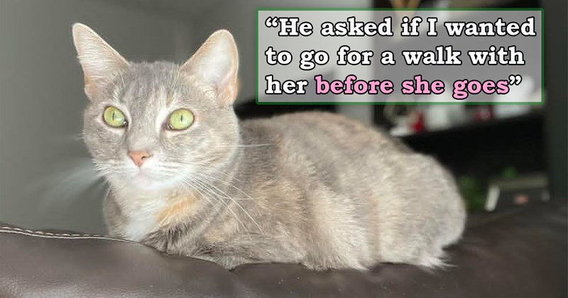 story about a man reaching out to his ex after ten years to ask her to come hang out with the terminal cat they adopted together | thumbnail includes one picture of a gray cat 'He asked if I wanted to go for a walk with her before she goes'