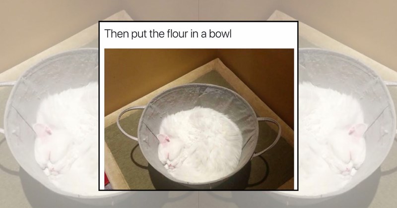 amateur chef FAIL relatable memes cooking fail funny memes cooking memes Funny Memes - 46425861