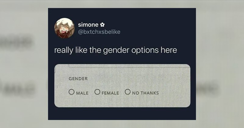funny random memes relatable memes work memes dog memes random memes silly memes funny memes dank memes Memes twitter memes meme silly funny tweets animal memes funny cat memes Funny Memes - 46433541