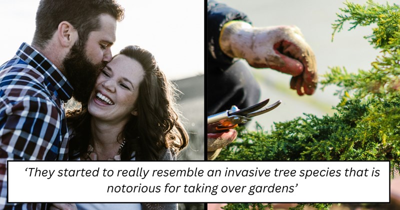 garden wife berries husband invasive trees Married Life - 46436613
