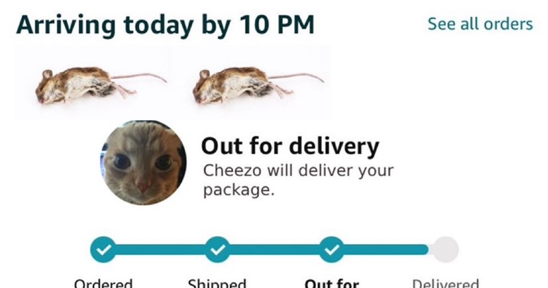 28 Meowlarious Feline Funnies Flush Away Frustrations Fursday | thumbnail includes one image which shows two mice an orange cat and an amazon delivery notification ‘arriving today by 10pm’ ‘out for delivery’ ‘cheezo will deliver your package’ ‘see all orders’ 