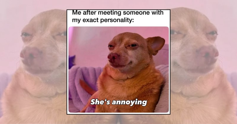 FRIDAY dog memes funny dog memes funny doggos Doggos - 46447621