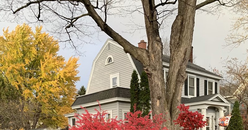 landowner neighbors trees tree law homeowner new homeowners land owning lawsuits property challenges of homeownership Neighbors - 46455301