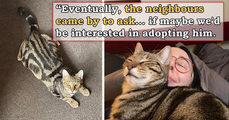 story about a neighbor's kitten choosing that she wants to live with the neighbor instead | thumbnail includes two pictures of a unique looking cat 'eventually, the neighbours came by to ask... if maybe we'd be interested in adopting him'