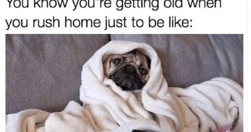 27 Heartwarming Animal Memes Warm Your Soul When it’s Frozen from AC (August 24 , 2026)  | thumbnail includes one image which shows a pug wrapped in a white blanket sitting on gray couch ‘You know youre getting old when you rush home just to be like:’