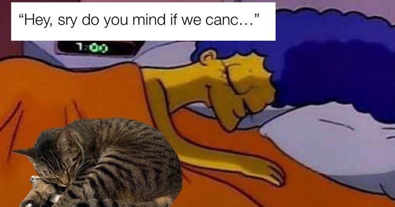 heart, filling, fluffy feline memes, fur, cat parents, pawrents, want, cuddles, kitty, under, covers, 