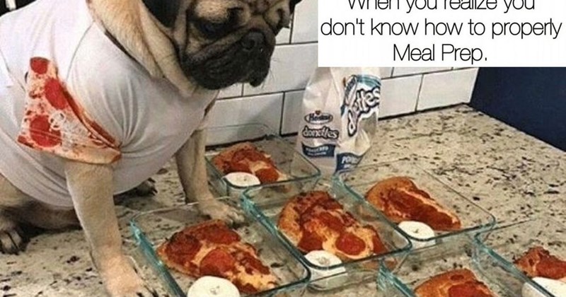 30 Sweet as Ice Cream Canine Memes Serving Up Your Daily Dose Doggo Goodness | thumbnail includes one image which shows a pug wearing a pizza shirt looking at pizza slices portioned into individual containers ‘When you realize you don’t know how to properly Meal Prep.’