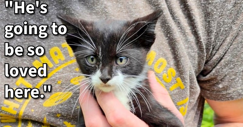 Kitten dumped by mom cat on hoomans deck gets new beginning after feline mother couldn’t continue caring for skinny baby, making for quite purrfect cat lovers’ Caturday surprise: ‘He's just the cutest most chill kitten.’ | thumbnail includes one image which shows a black and white kitten being held in man’s hand ‘“Hes going to be so loved here.”’