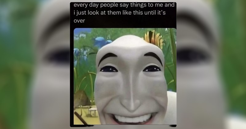 funny random memes relatable memes work memes dog memes random memes silly memes funny memes dank memes Memes twitter memes meme silly funny tweets animal memes funny cat memes Funny Memes - 46491653