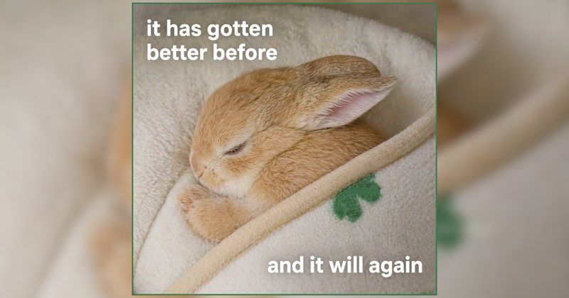 24 Cutesy Critters Coming to Rescue You From Life's Stresses 