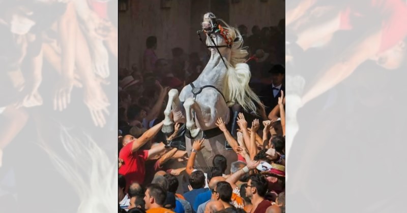 accidental renaissance social media trend photography art artist photos art history accidental baroque social media trends Chronically Online - 46507781