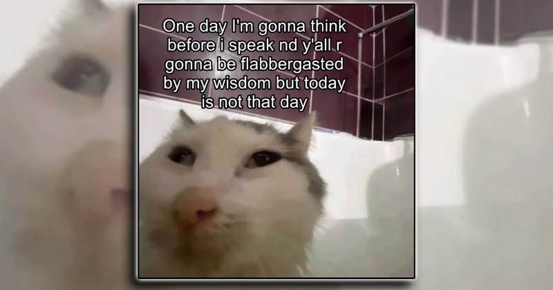 therapist humor therapy self improvement comedy mental health self care funny Self-Improvement - 46520581