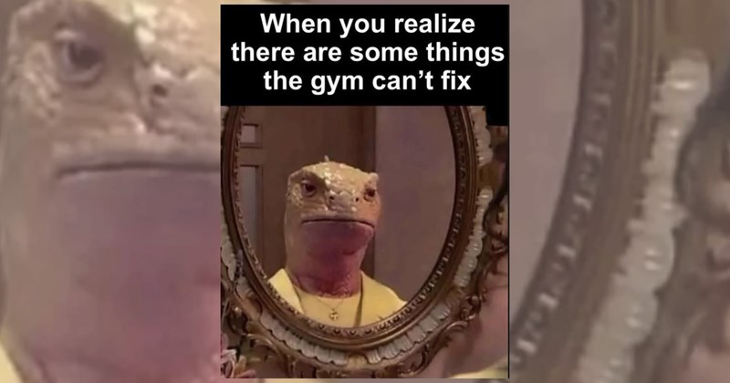 Gym realness memes  I’m going to be really honest with you all: I thought I was going to get my ‘gym results’ much faster. I mean, it’s been a year, and all I can say is that I look more athl