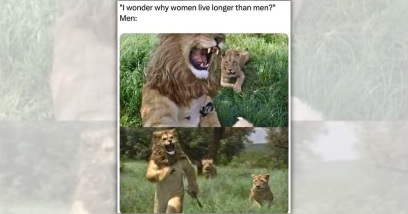 33 cat memes and pictures | Thumbnail includes one meme including '"I wonder why women live longer than men?" Men:'