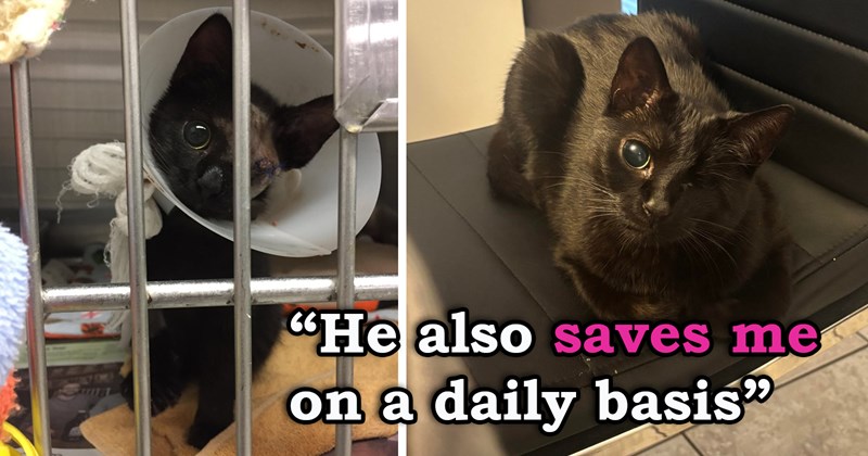 story about a vet tech promising to adopt an injured cat if it survives surgery and doing just that | thumbnail includes two pictures including a black kitten with one eye and a black cat with one eye 'He also saves me on a daily basis'