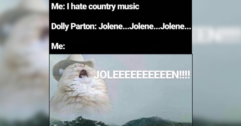 22 Country Cats Meowing to "Jolene" to Honor the Purrfect Dolly Parton