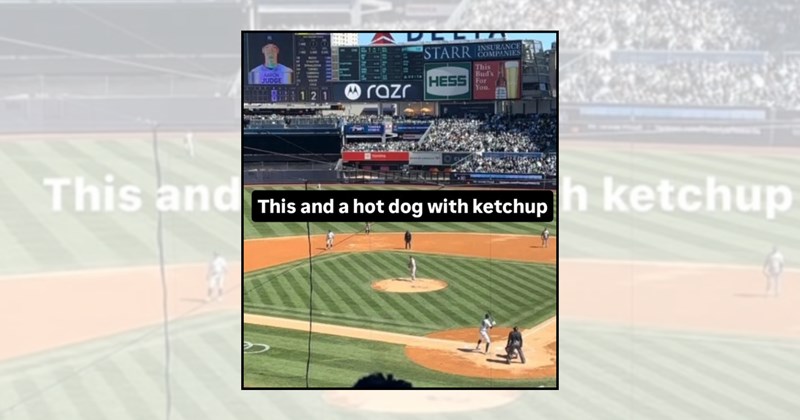 Funny Memes hot dog yankees memes baseball memes game day memes ballpark humor sports memes baseball season funny baseball memes sports humor MLB baseball fans - 46582789
