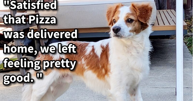 His rescuer’s temporarily named him after his favorite food.