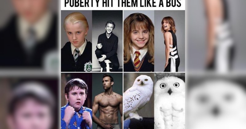 wand geek hogwarts students Harry Potter voldemort geeky memes harry potter memes hermione granger wizard entertaining wizarding world hedwig Ron Weasley Dobby potterhead Hogwarts Fandom - 46592773