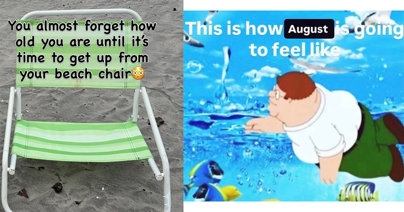 science beaches summer memes relatable memes summer beach memes beach too relatable funny Funny Memes - 46600453
