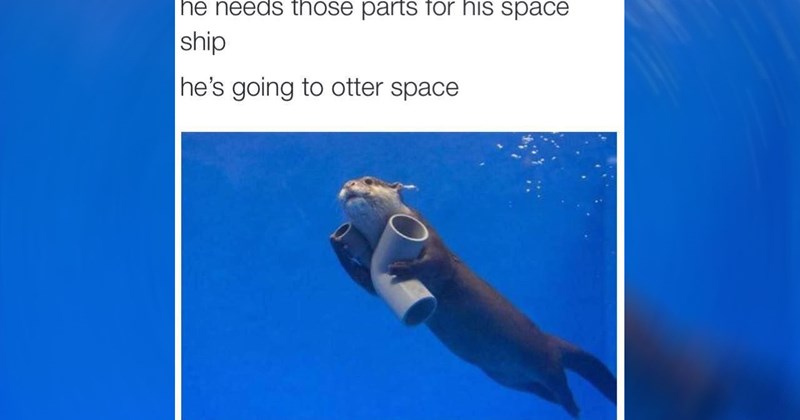 funny puns jokes pun dad joke memes bad jobs dad jokes funny memes puns Memes dad bad puns Funny Memes - 46609157