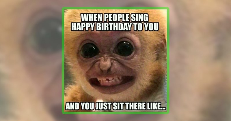 23 monkey memes | thumbnail includes one meme including 'WHEN PEOPLE SING HAPPY BIRTHDAY TO YOU AND YOU JUST SIT THERE LIKE...'