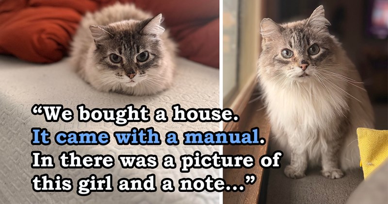 story about new home owners getting a manual with their home asking them to let the stray cat inside | thumbnail includes two pictures of a beutiful fluffy cat 'We bought a house. It came with a manual. In there was a picture of this girl and a note...'