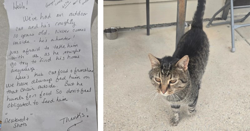 'Bought a farm, inherited a surprise cat': Old farmhouse comes with unexpected note and a 10-year-old outdoor "hunter" cat 