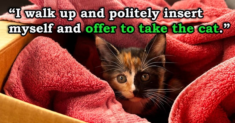 story about someone overhearing a man speaking about throwing out a kitten stepping in and adopting it | thumbnail includes one picture of a kitten wrapped up in blankets 'I walk up and politely insert myself and offer to take the cat'