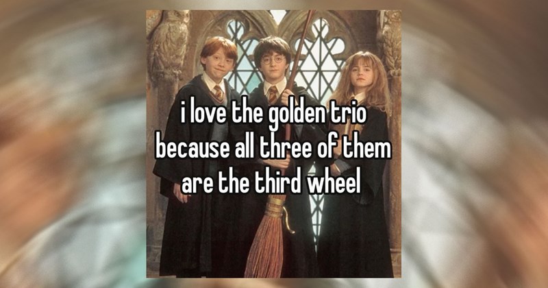 Harry Potter voldemort harry potter memes hermione granger Albus Dumbledore sirius black draco malfoy hedwig Ron Weasley Severus Snape professor lupin Hagrid Hogwarts Fandom - 46637317
