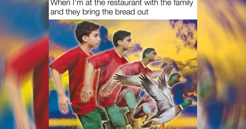 1990s reading book memes nostalgia animorphs books 90s kids 90s nostalgia memes reading memes animals Fandom - 46638853