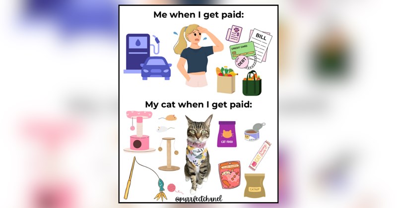 26 cat memes | thumbnail includes one meme and one picture of text including 'Me when I get paid: My cat when I get paid:' 