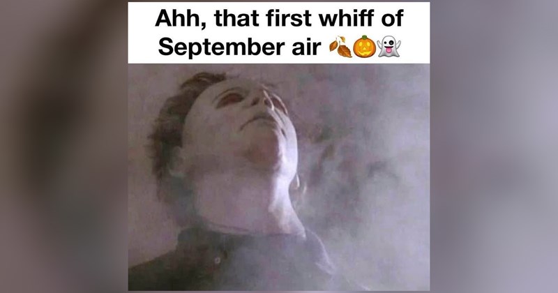 funny random memes relatable memes work memes dog memes random memes silly memes funny memes dank memes Memes twitter memes meme silly funny tweets animal memes funny cat memes Funny Memes - 46656261