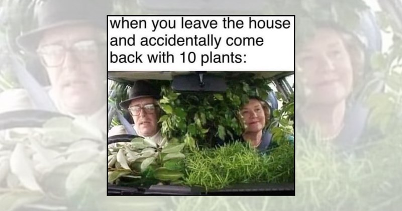 gardening memes Funny Memes gardeners nature lovers plant parents houseplants plant lovers gardening humor green thumb garden center garden life nature memes growing plants - 46656517