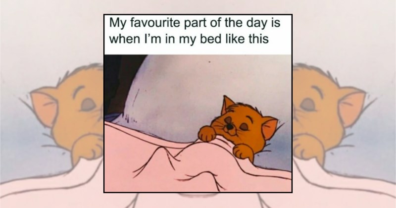 cozy memes thunderstorm rainy day relax rain Funny Memes - 46659077