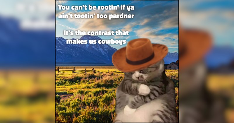 23 Rootin' Tootin' Felines Ready to Raise Some Country Cowboy Chaos