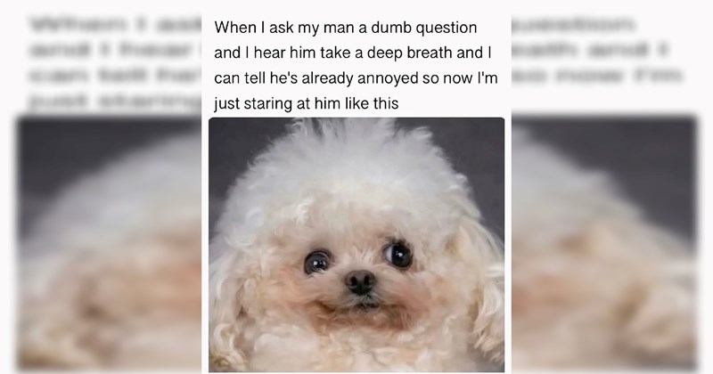 hilarious bad jokes dad jokes funny Funny Memes - 46681605