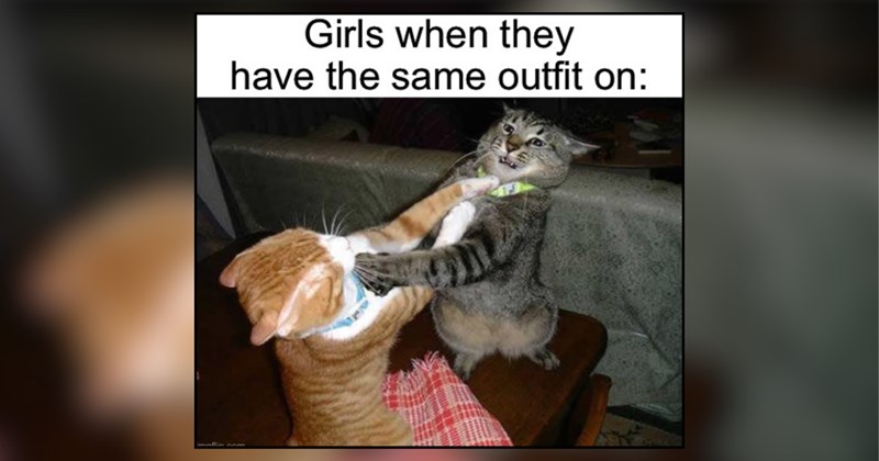 27 cat memes | thumbnail includes one meme and one picture of text including 'Girls when they have the same outfit on:' 