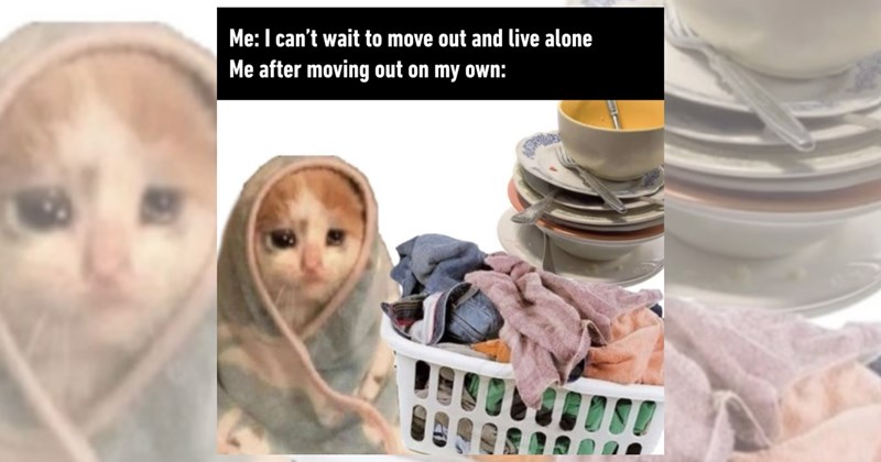 buying food adulting Memes paying rent adulting memes living alone adulthood adult children moving out young adult Funny Memes - 46691845
