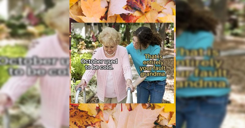 Environmental Memes For the Climate Conscious Who Feel Uneasy About the Weather Report