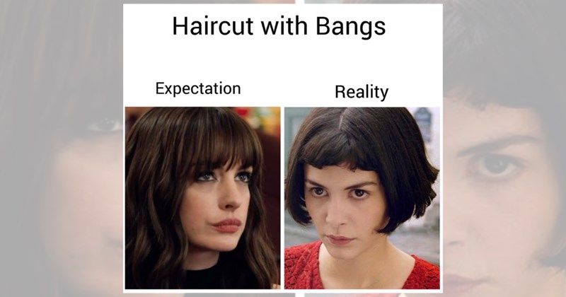 hair haircut memes hairy straight hair hair memes haircut haircuts Memes curly hair hairdresser bad haircut funny Funny Memes - 46693637