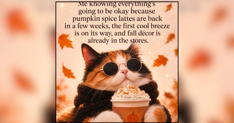 25 cat memes | thumbnail includes one meme and one picture of text including 'Me knowing everything's going to be okay because pumpkin spice lattes are back in a few weeks, the first cool breeze is on its way, and fall décor is already in the stores.'