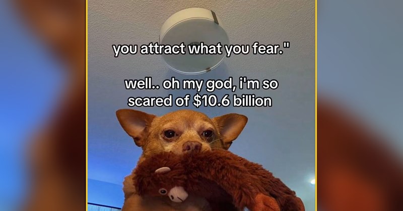 funny and wholesome animal memes | thumbnail includes one meme of a dog holding a toy monkey in its mouth 'you attract what you fear." well.. oh my god, i'm so scared of $10.6 billion'
