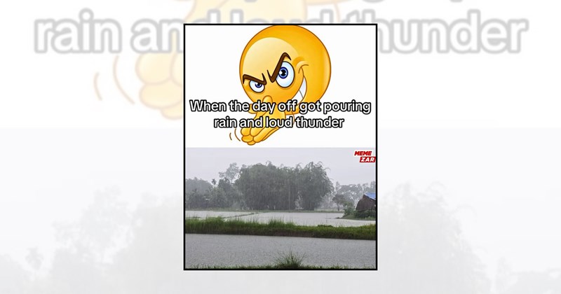 cozy memes thunderstorm thunderstorm memes rain memes stay home rain lovers weather memes rainy day memes Funny Memes - 46713605