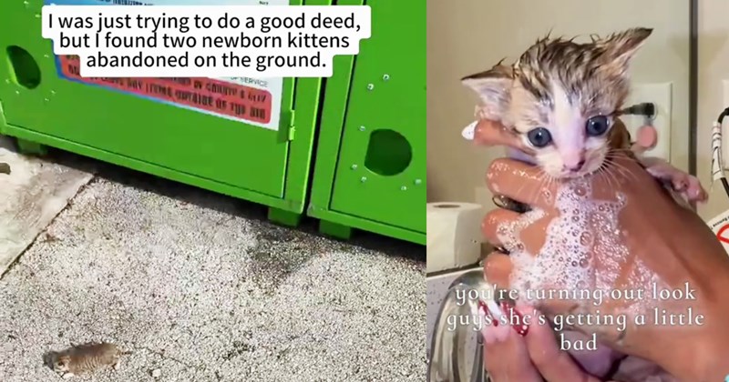 Woman goes to donate clothes, but comes back with 3 abandoned newborn kittens who now live luxury life with pawrent who does everything fur them, bubble baths and all: ‘I was literally made to be cat mom.’ | thumbnail includes two images one image shows a tiny kitten on ground next to clothes donation bin ‘I was just trying to do a good deed, but I found two newborn kittens abandoned on the ground.’, the other image shos a kitten being bathed ‘youre turning out look guys hes getting a little b