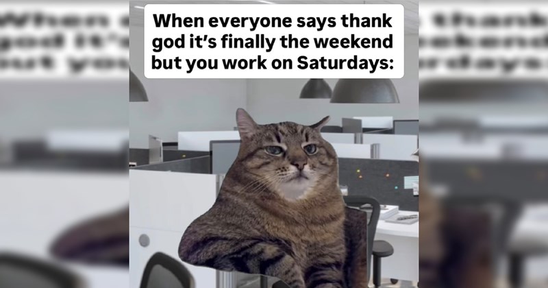 work life coworkers stress Memes Office workplace Workplace - 46732293
